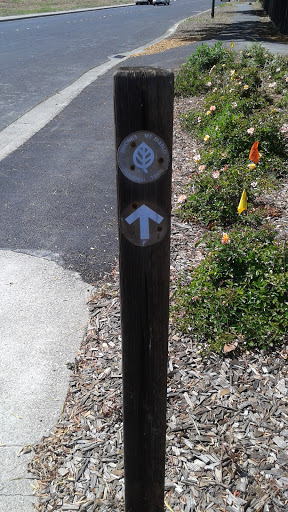 Briones Mount Diablo Trail Marker - Heather Drive