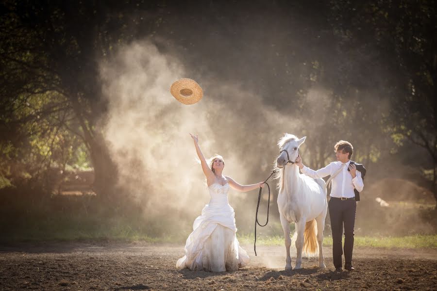 Wedding photographer Sílvio Pinto (reticenciasprod). Photo of 25 January 2014