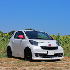 iQ NGJ10