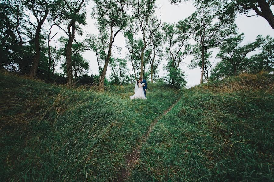 Wedding photographer Evgeniy Koncevich (kontsevichephoto). Photo of 9 November 2018