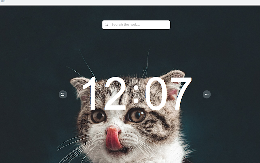 Cat Lover's Theme For New Tabs