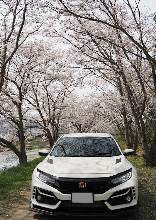 シビックタイプRのサクラと愛車・目指せPickUpCars・ドライブに関するカスタム事例の投稿画像3枚目