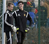 Mignolet sous Wilmots, pas toujours facile