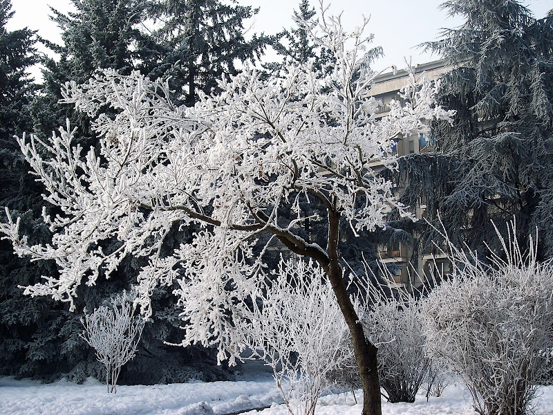 Benvenuti a Narnia di elibetta