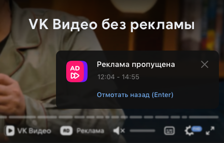 VKADSKIP - пропуск рекламы внутри видео small promo image