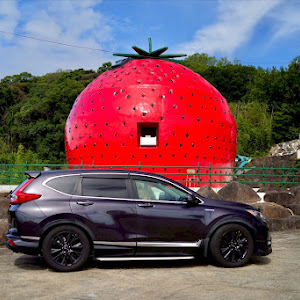 CR-V RT5