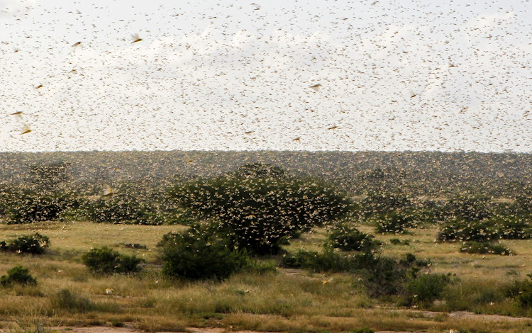 Picture: REUTERS