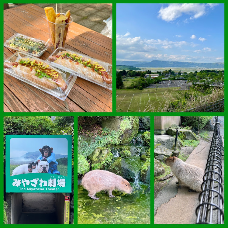 アコードのいつもイイね＆コメントありがとうございます😆・ゆっくり走っとうばい福岡・ゆっくり走ろう熊本県・外食ざんまい・ゆっくり走ろう佐賀県に関するカスタム事例の投稿画像10枚目