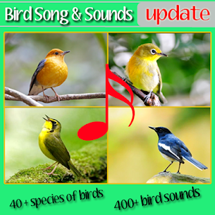 How to install Top Bird Sounds and Song free lastet apk for laptop