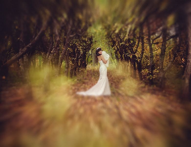 Wedding photographer Natalya Kosyanenko (kosyanenko). Photo of 5 December 2012