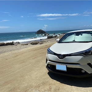 C-HR ZYX10