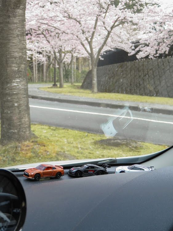 マーチの桜・桜とコラボ・🌸に関するカスタム事例の投稿画像3枚目
