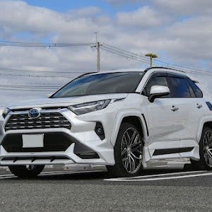 RAV4 AXAH54