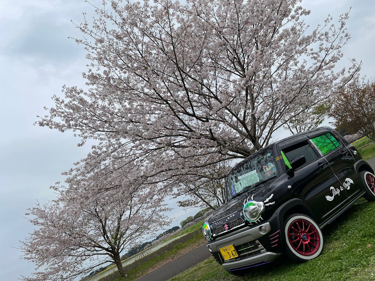 ハスラーのLEDイルミネーション・ハスラー・宮崎・サクラと愛車に関するカスタム事例の投稿画像3枚目