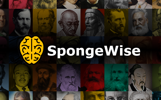 SpongeWise Flashcard Clipper Preview image 3