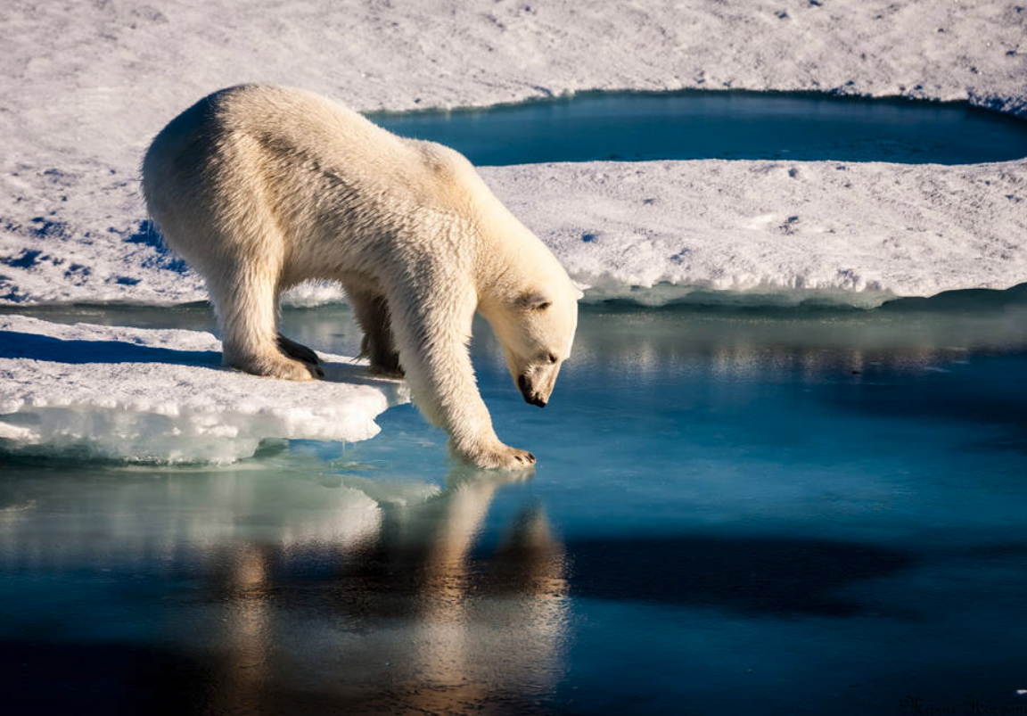 Sea Ice and Extent and the Earth System Story Map