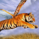Flying Tiger Simulator icon