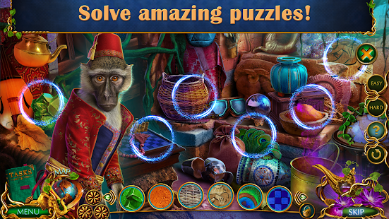 Hidden Objects - Labyrinths of World: Wild Side