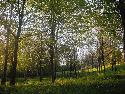 Aboretum de Corbé