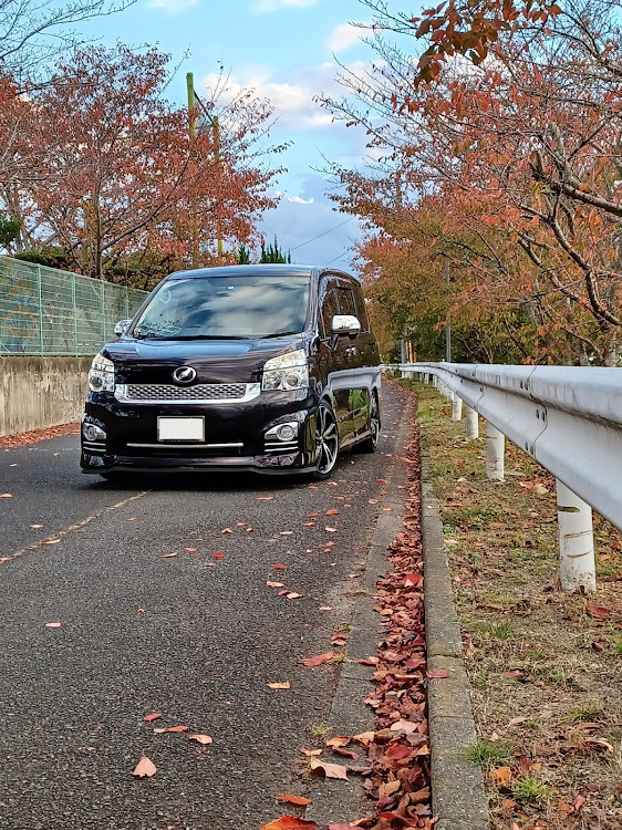 ヴォクシーの紅葉と愛車・紅葉を求めて・総社市・総社宮・カメ活に関するカスタム事例の投稿画像1枚目