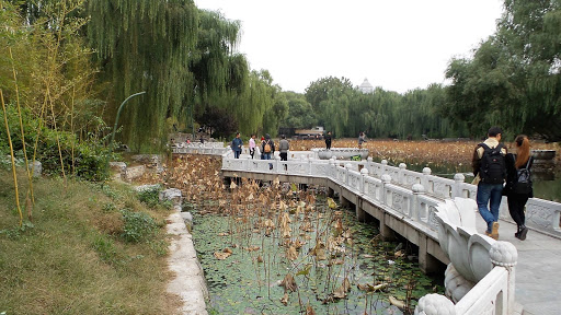 Bamboo Lake Beijing China 2015