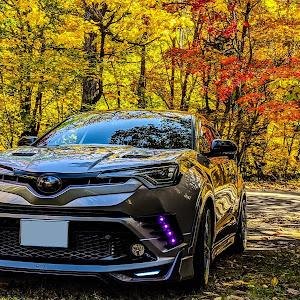 C-HR ZYX10