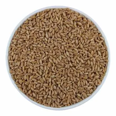 Starfresh Premium Lokwan Wheat Loose 1 Kg