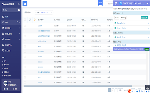 Xiaoshouyi DevTools