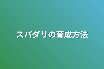 スパダリの育成方法