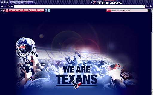 Houston Texans Theme