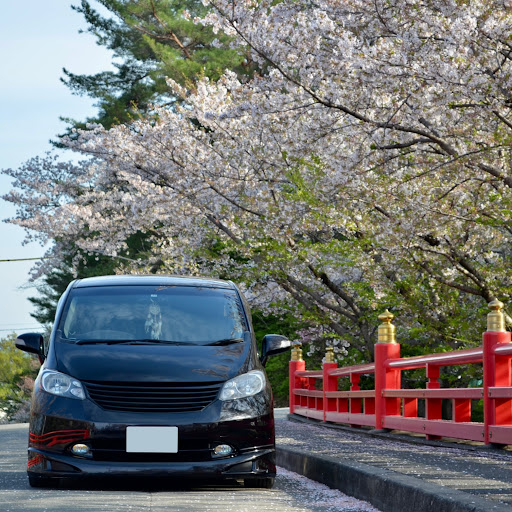 クロきちのプロフィール画像