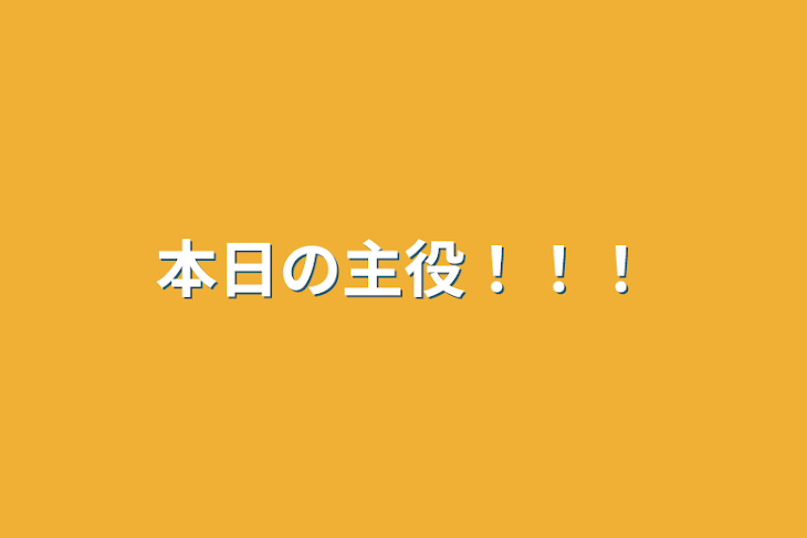 「本日の主役！！！」のメインビジュアル