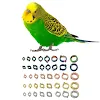 miniatures image - 0