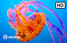 Jellyfish HD Wallpapers New Tab Theme small promo image