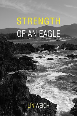 Strength of an Eagle cover