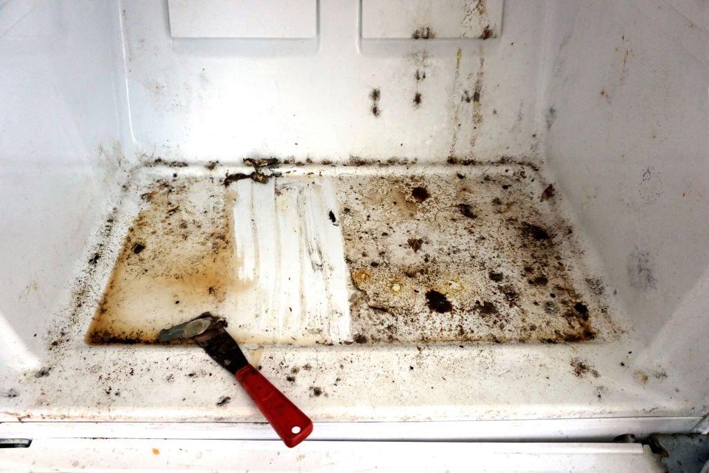 mold in a refrigerator