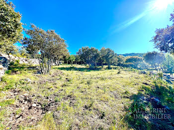 terrain à Corbara (2B)