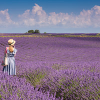 Impressioni di Provenza di 