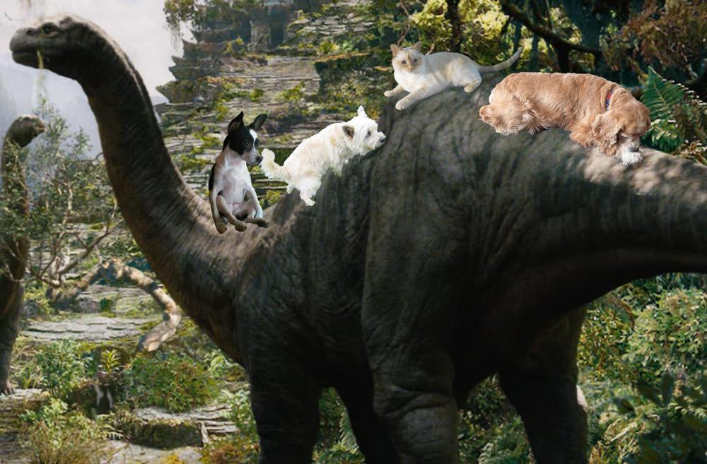 Clarabelle, Toby, Milo and Lady Bird on a dinosaur