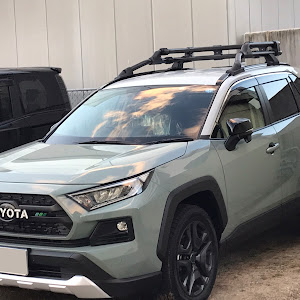 RAV4 MXAA54