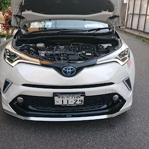 C-HR ZYX10