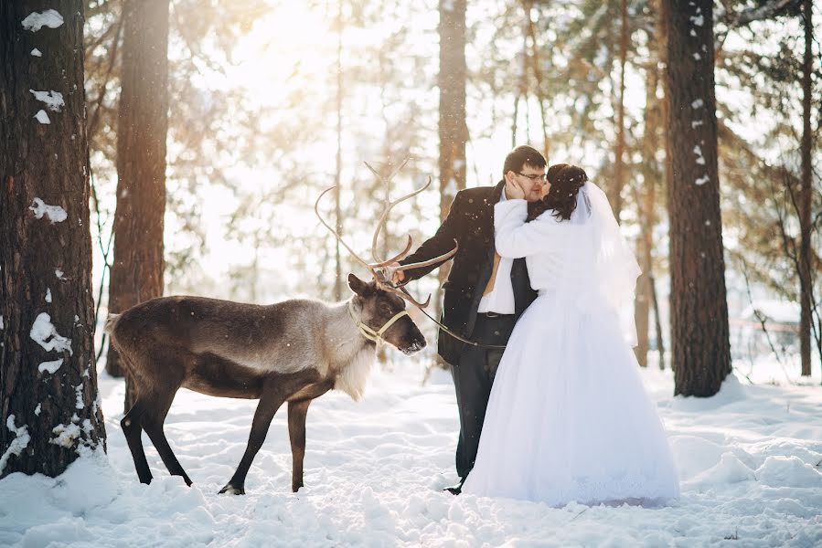 Fotógrafo de casamento Elena Volkova (mishlena). Foto de 31 de janeiro 2016