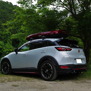 CX-3 DK5FW