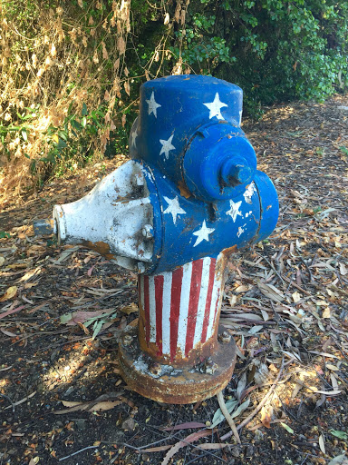 Patriotic Fire Hydrant