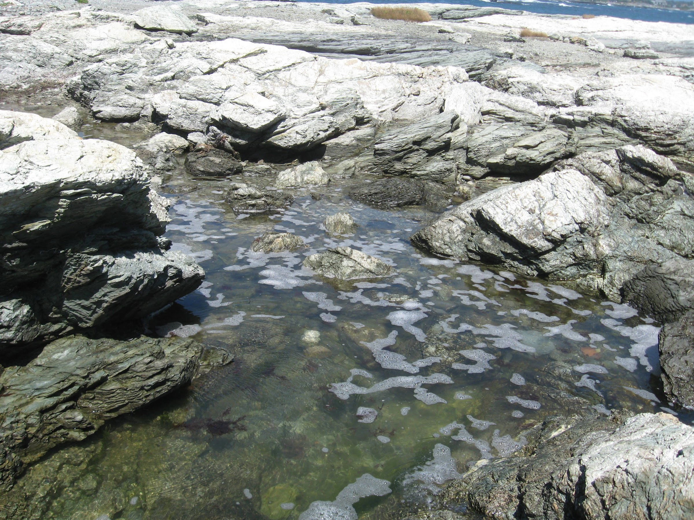 tidal pools at Brenton Point State Park