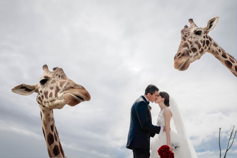 Fotógrafo de bodas Everardo Valiente (everarte). Foto del 25 de octubre 2020