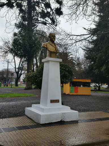 Busto a José Bunster