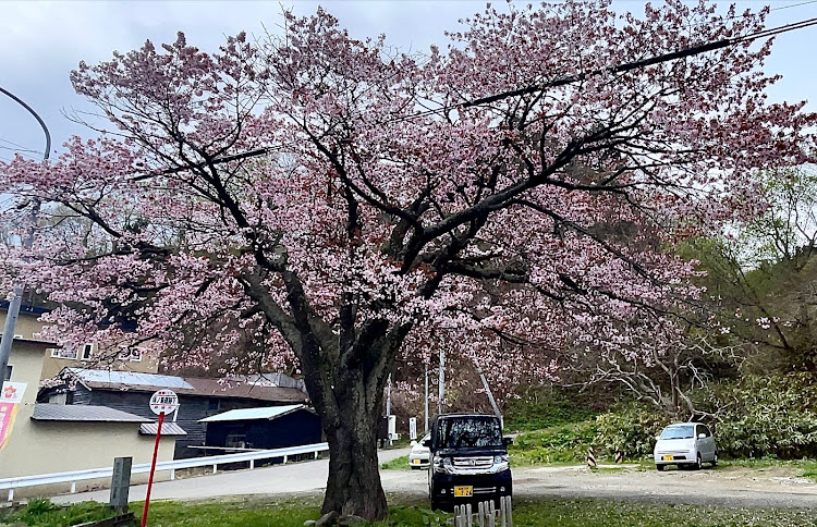 の投稿画像8枚目