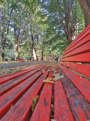 Nel Parco di Venezia di mpphoto