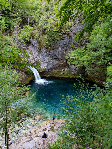 Niebieskie OkO, Syri i Kalter